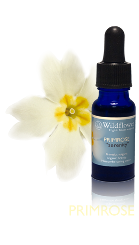 Primrose flower essence
