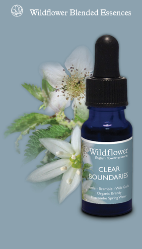 Clear Boundaries wild flower essences