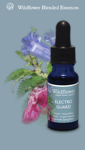 Electro Guard wild flower essences
