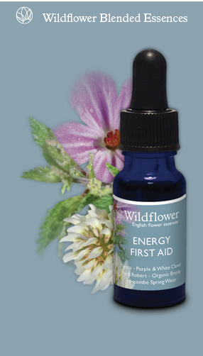 Energy 1st Aid wild flower essences